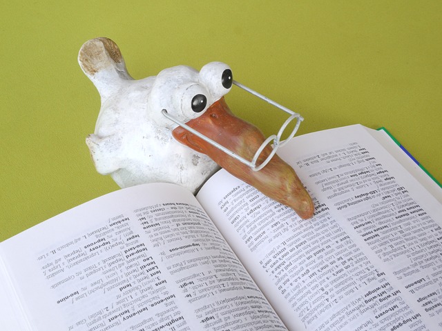 תרגום קורות חיים